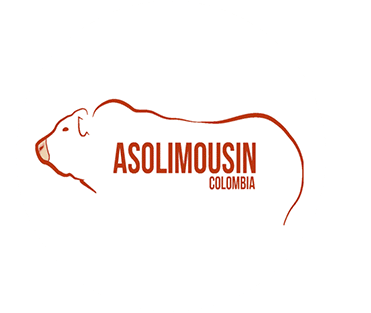 Asolimousin de Colombia