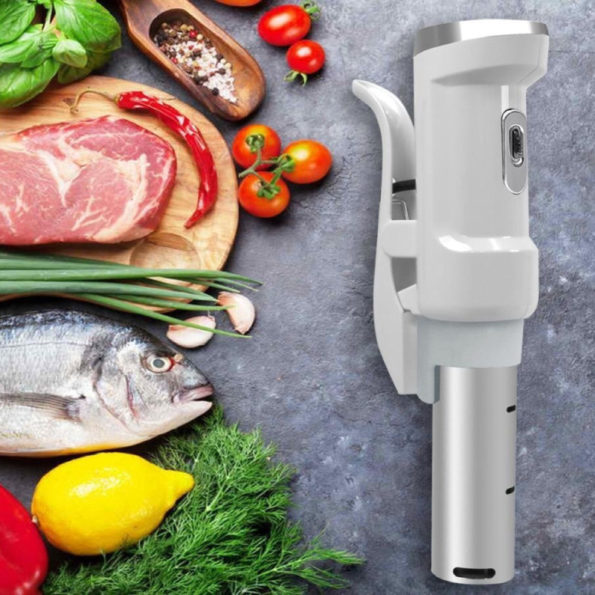Cocinador de Inmersión Sous Vide Nutrichef