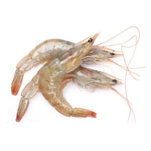 Gambas  20/30 con cabeza, cáscara y cola (500 Gr)